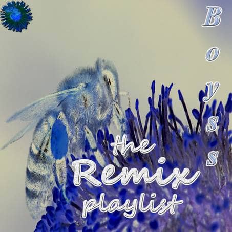 Boyss the remix playlist